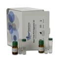 Echtzeit-PCR-Diagnostikkit, Foc TR4 für Bananenpflanzengewebe